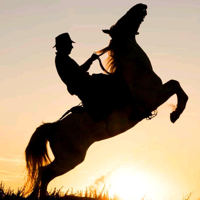 老张购销地产药材🇨🇳