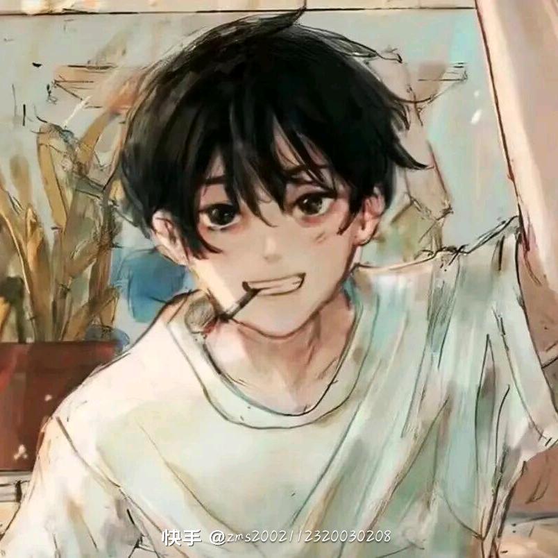 广州晟华奇瑞风云吕悦