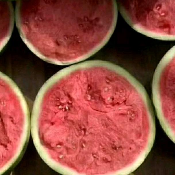 全家喜乐，垮区收割，应季水果