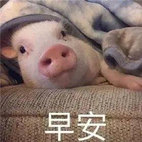 常胜将军