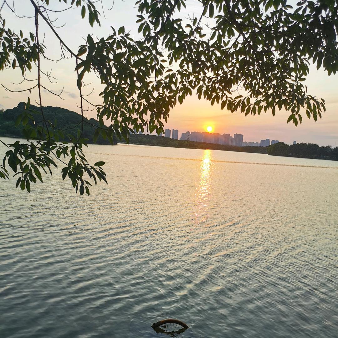东莞市春雨地产有限公司