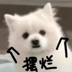 超市里的宝贝