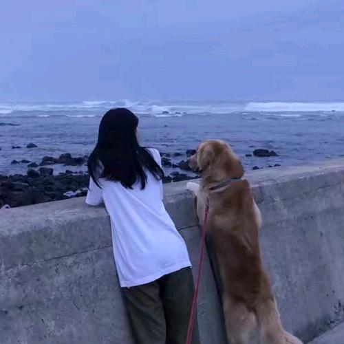 太阳醒了你睡吗