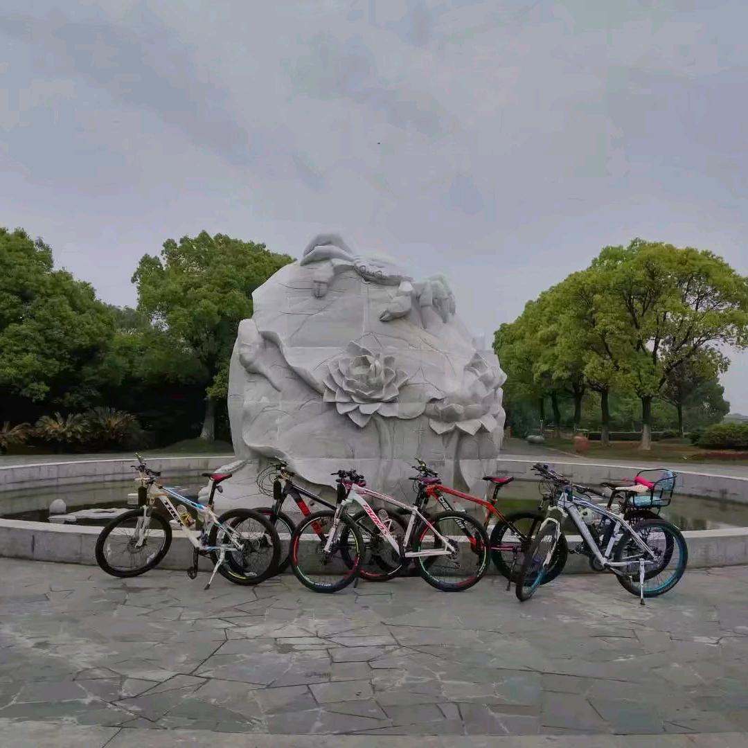 森林半岛