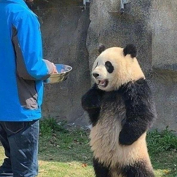 湫！