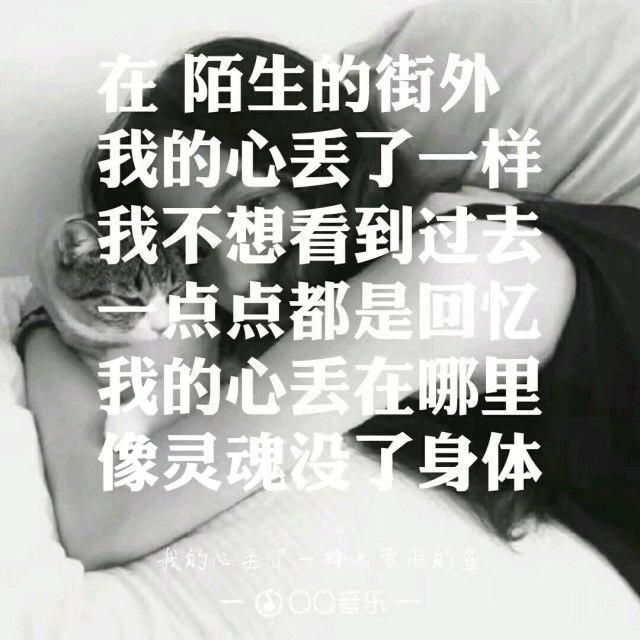 陈绍飞