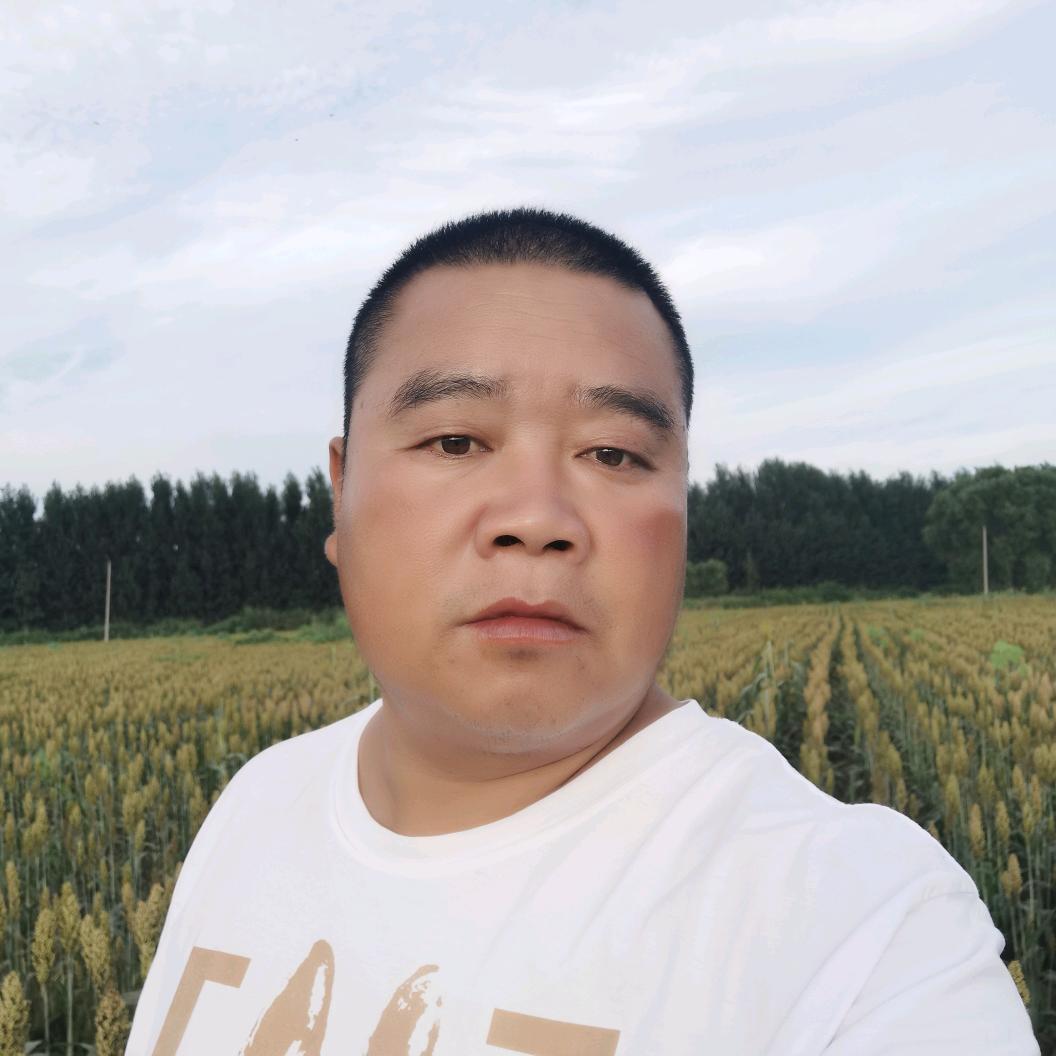 海阔天空，任你游