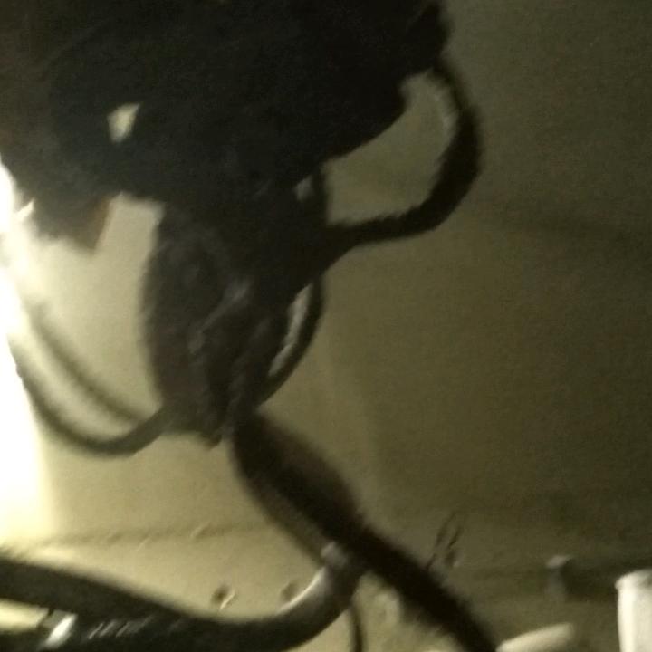 云水禅心<默>