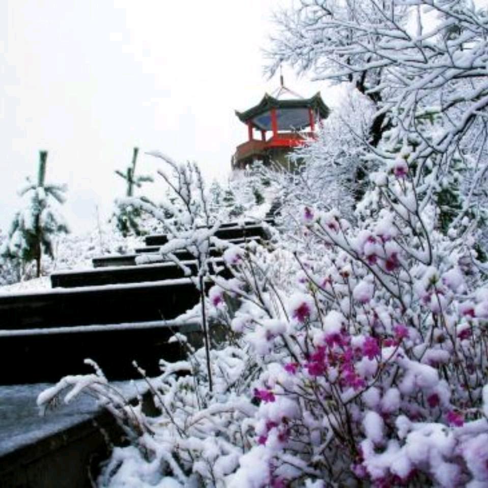 压榨花生油。香油。