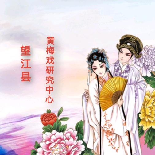 黄梅戏🌸望剧🌸