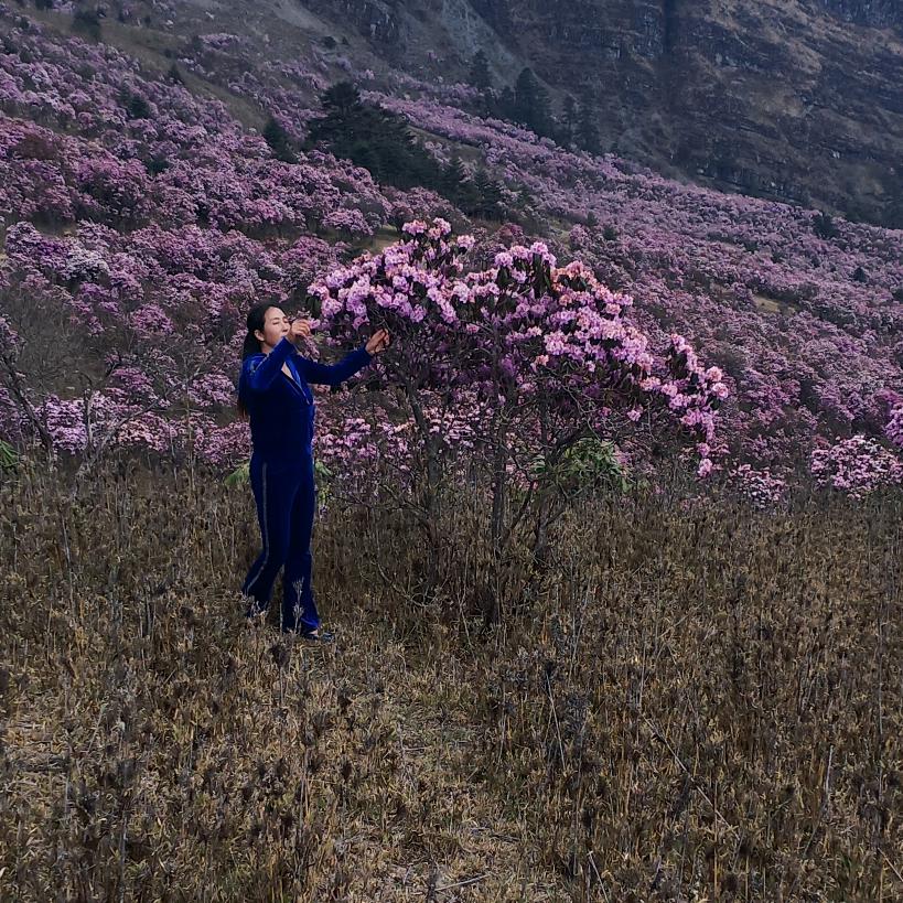 玫瑰花🌹