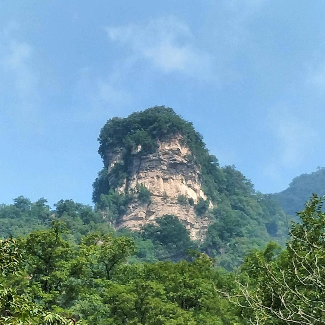 老孟