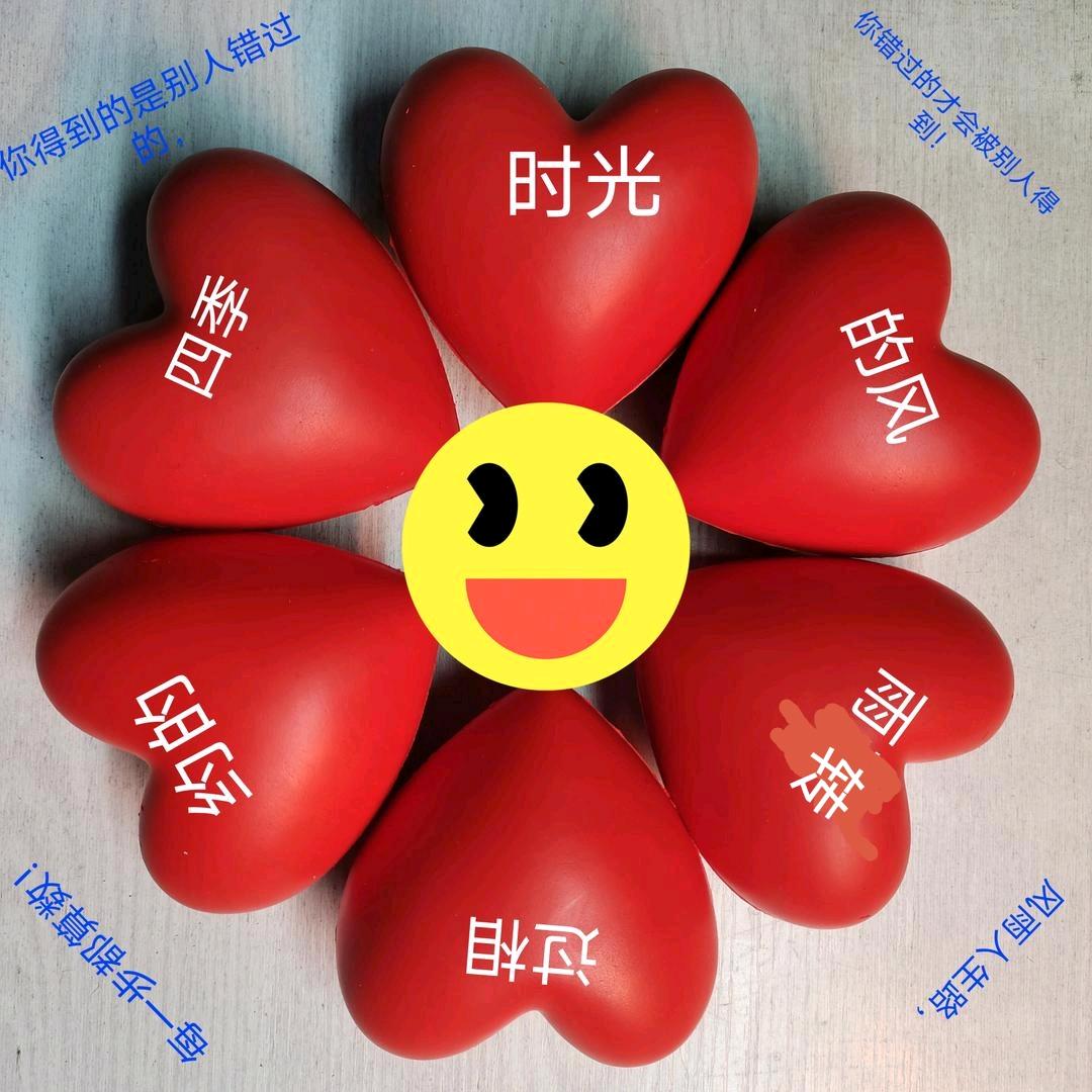 👉时光的风雨转过相约的四季👈