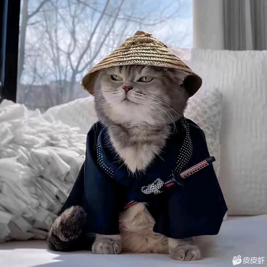 一人八十万