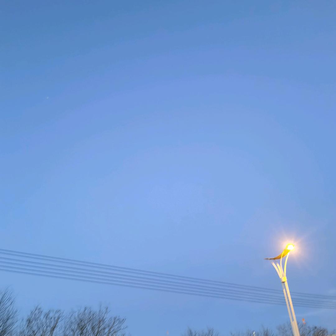 咯哦