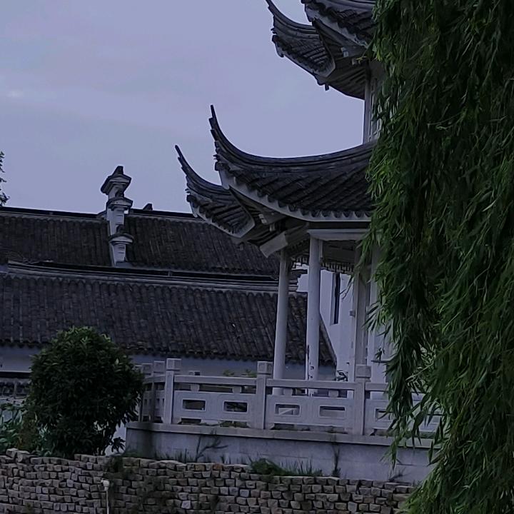 初心111