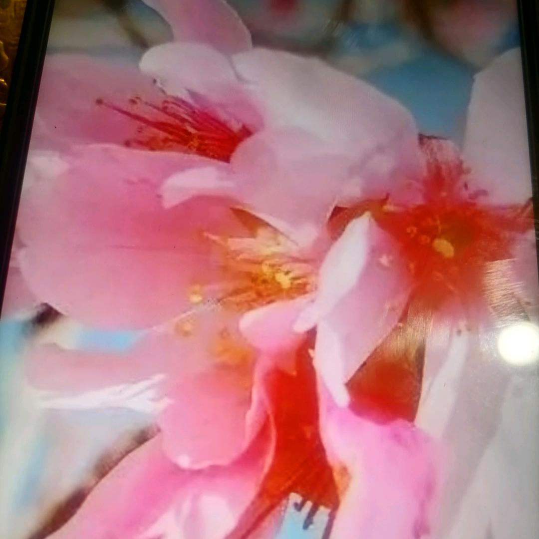 用户6813284082065