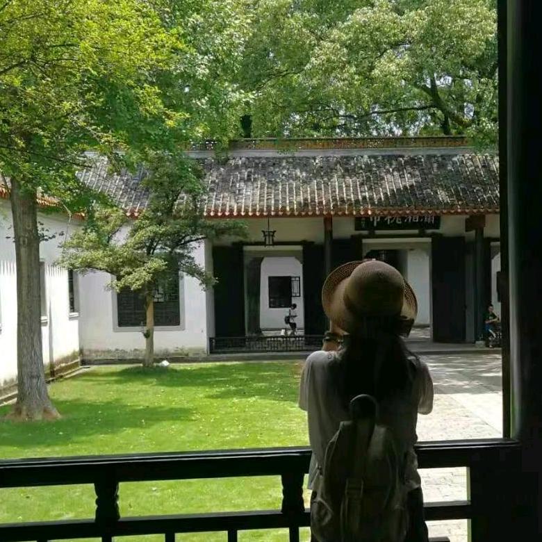 薰衣草66