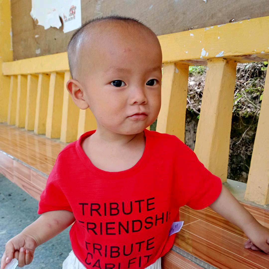 杨佳乐