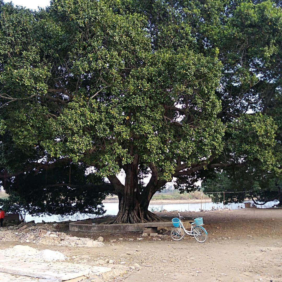 @有缘抖音来相识，开开心心每一天。