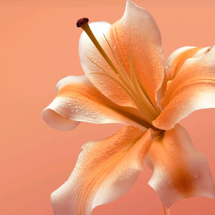 发财了(*˘︶˘*).。.:*♡发财了?