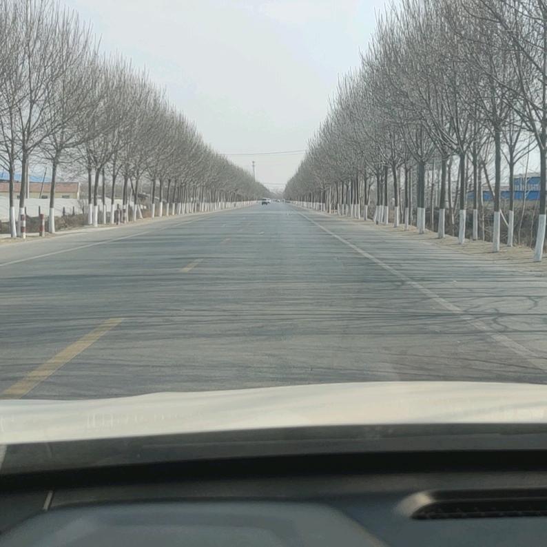 你的骑士