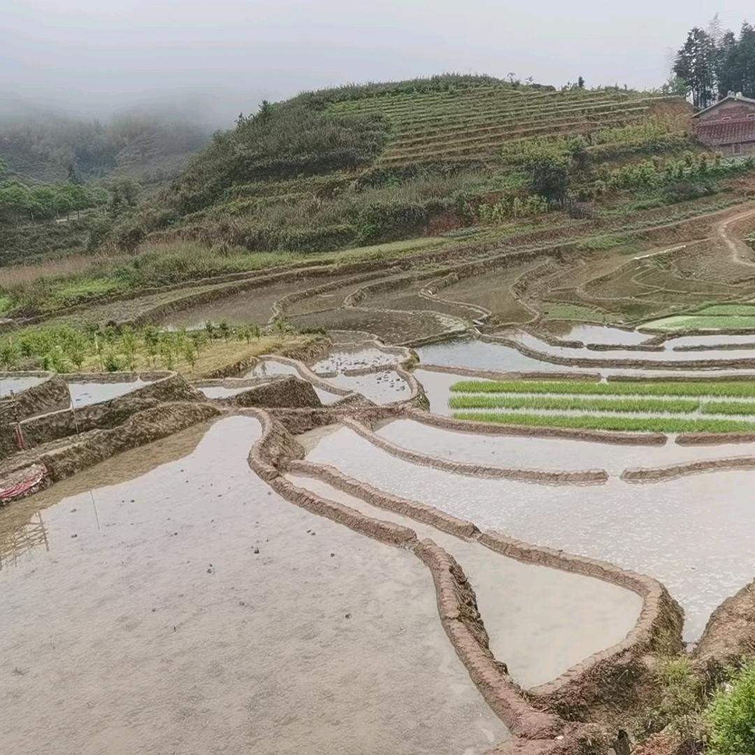 小憨妹