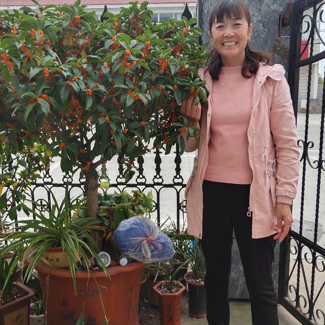 朱美  13点38分直播