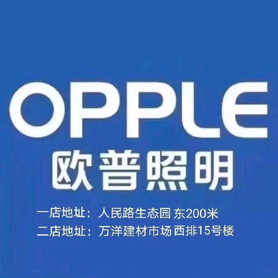 宝丰欧普照明红姐