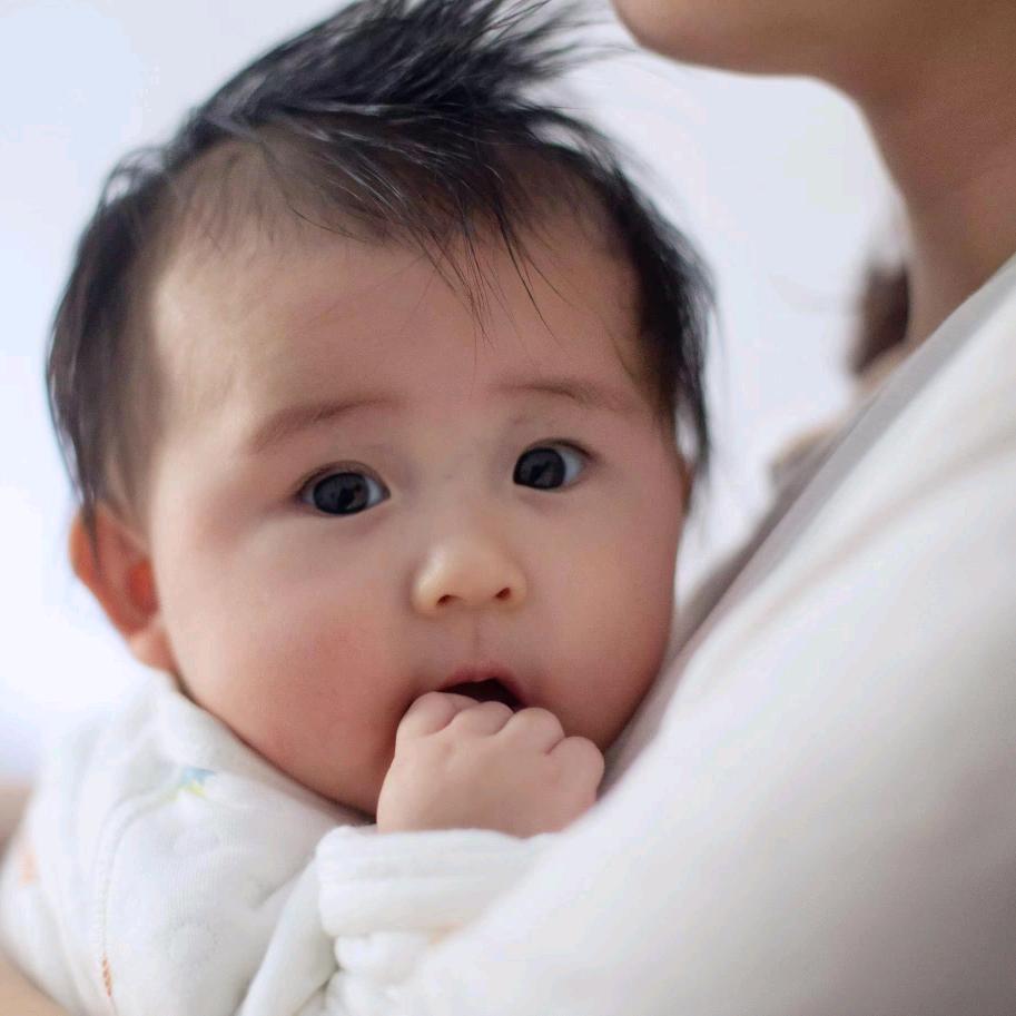 小鸭子正在玩水