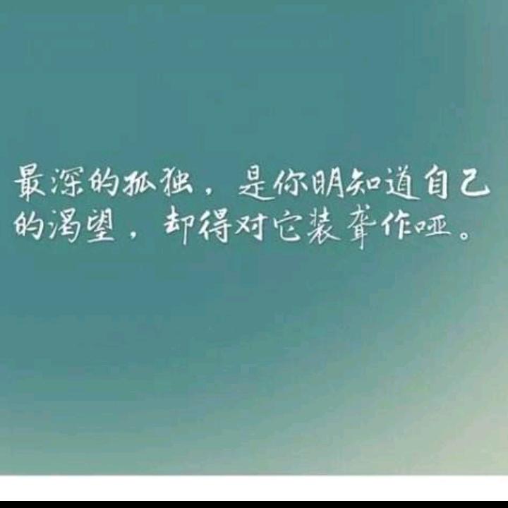 贵州林子