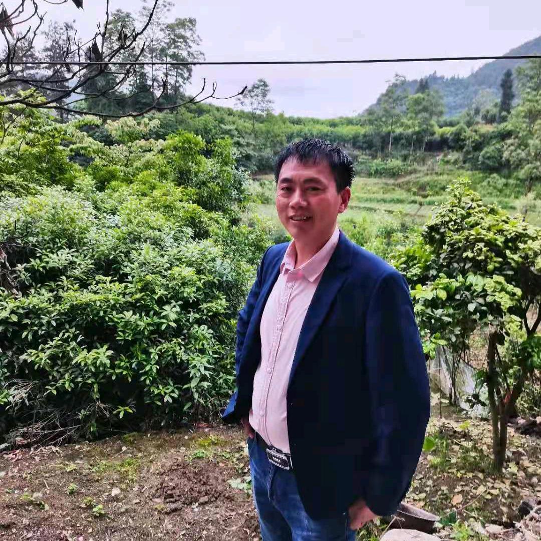 向友华