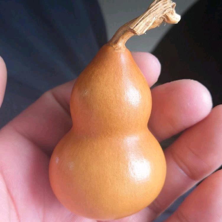 秋
