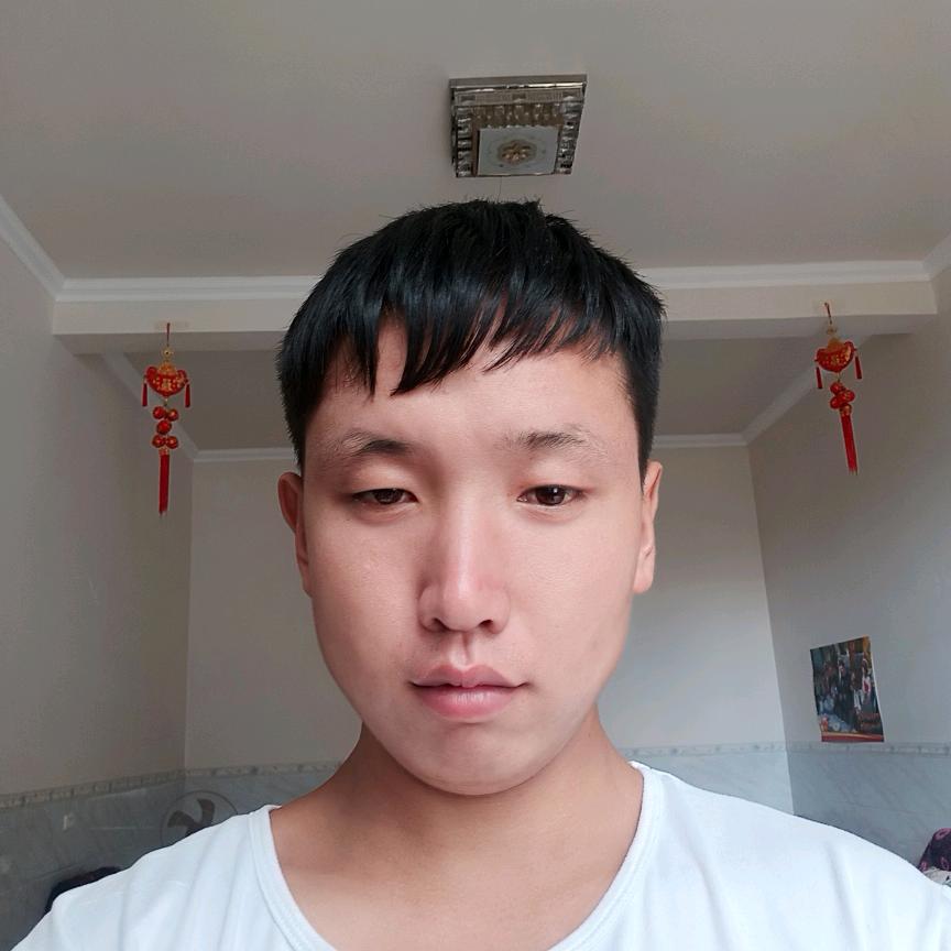 云南叶子