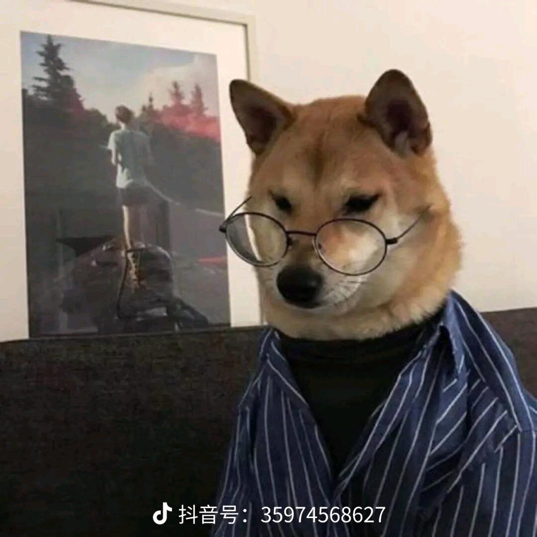 靳宇晓夜