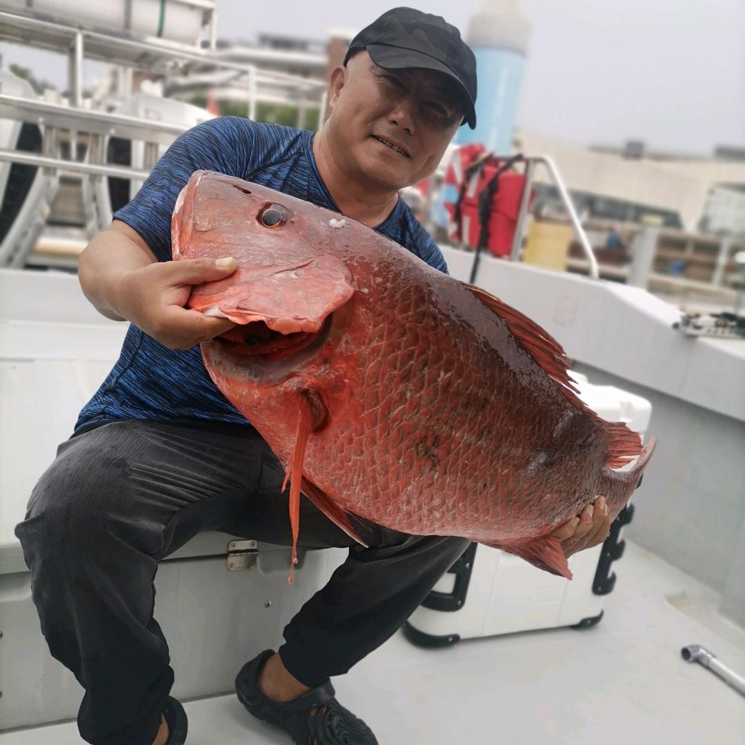 大海里的蓝金枪