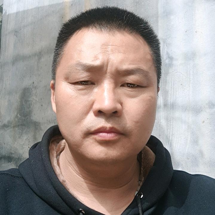 自由人自由人