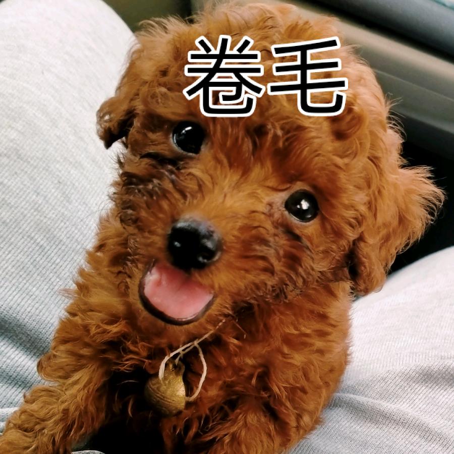 这日子过得好难过