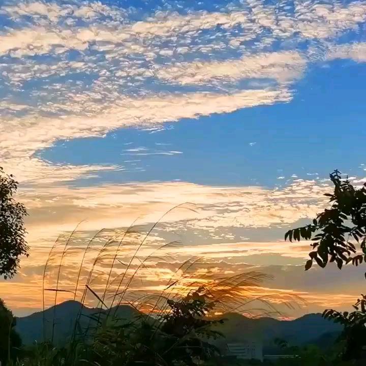 且行且珍惜