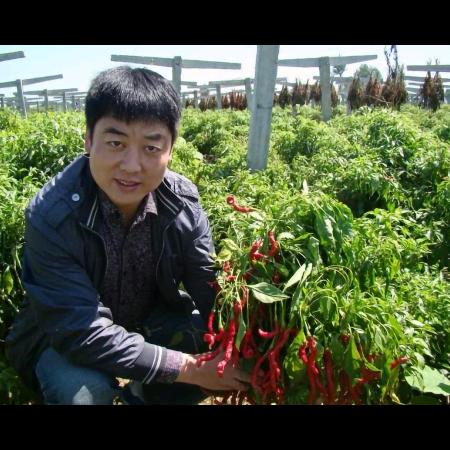 兴平市秦一辣椒制品有限公司