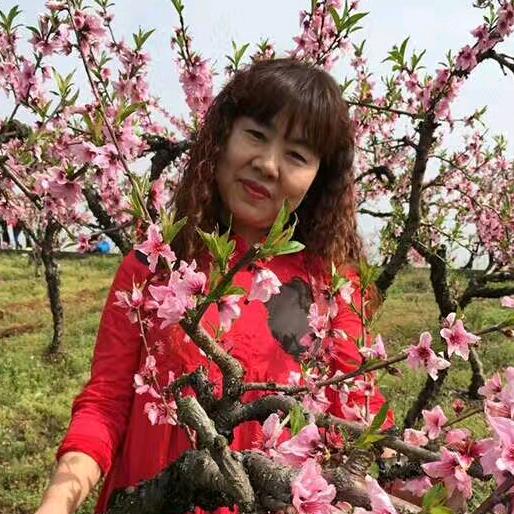 柳儿飞杨
