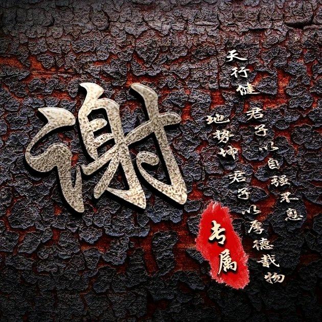 湖南涟源娄底PVC地毯施工