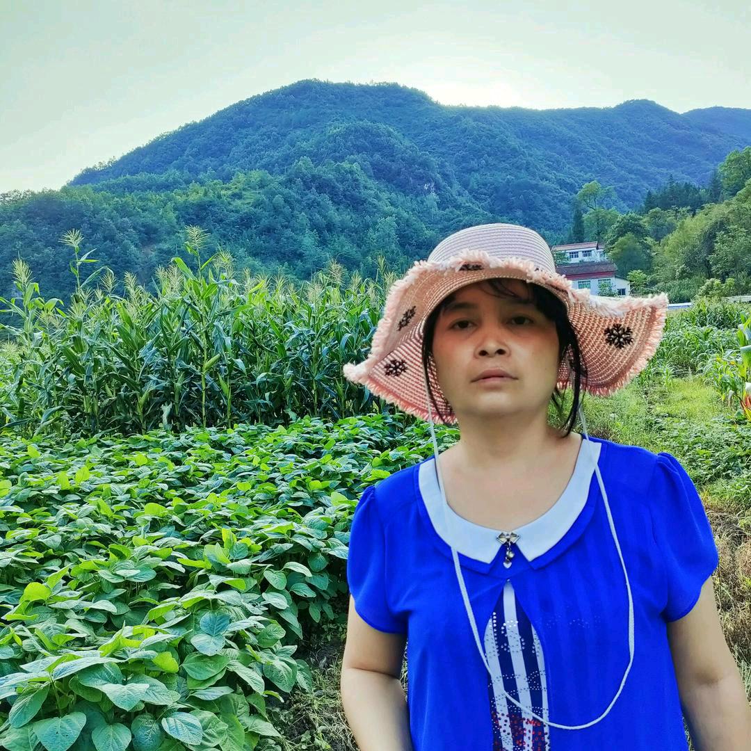 农村芳姐