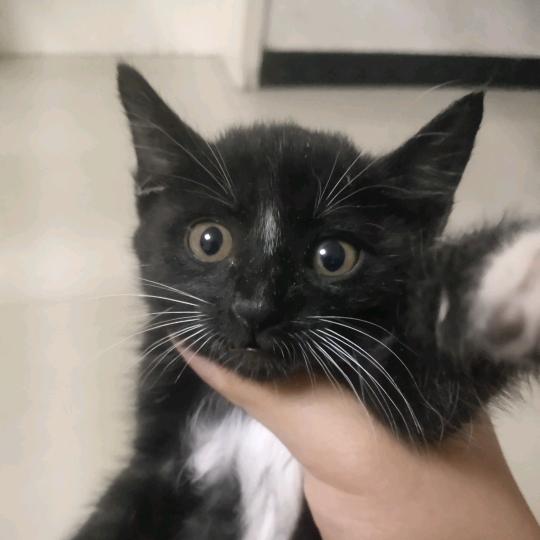 ∵∴