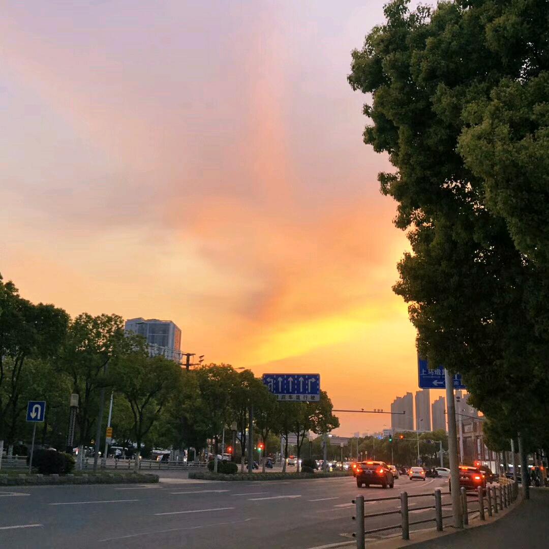 玉兰花🌸