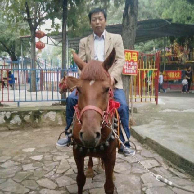 勇闯天涯1