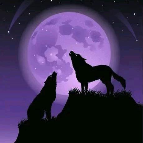 🍒全村人的希望🍒