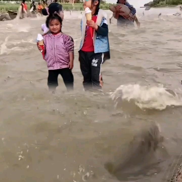 情涵