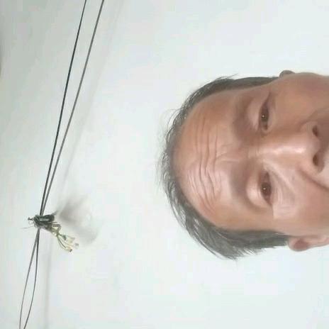 用户929979935033