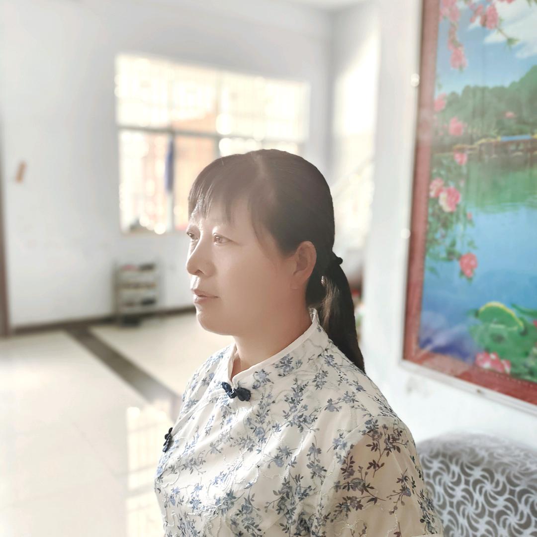 金凤凰